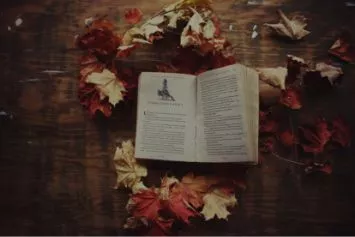centurybookpublishers
                        